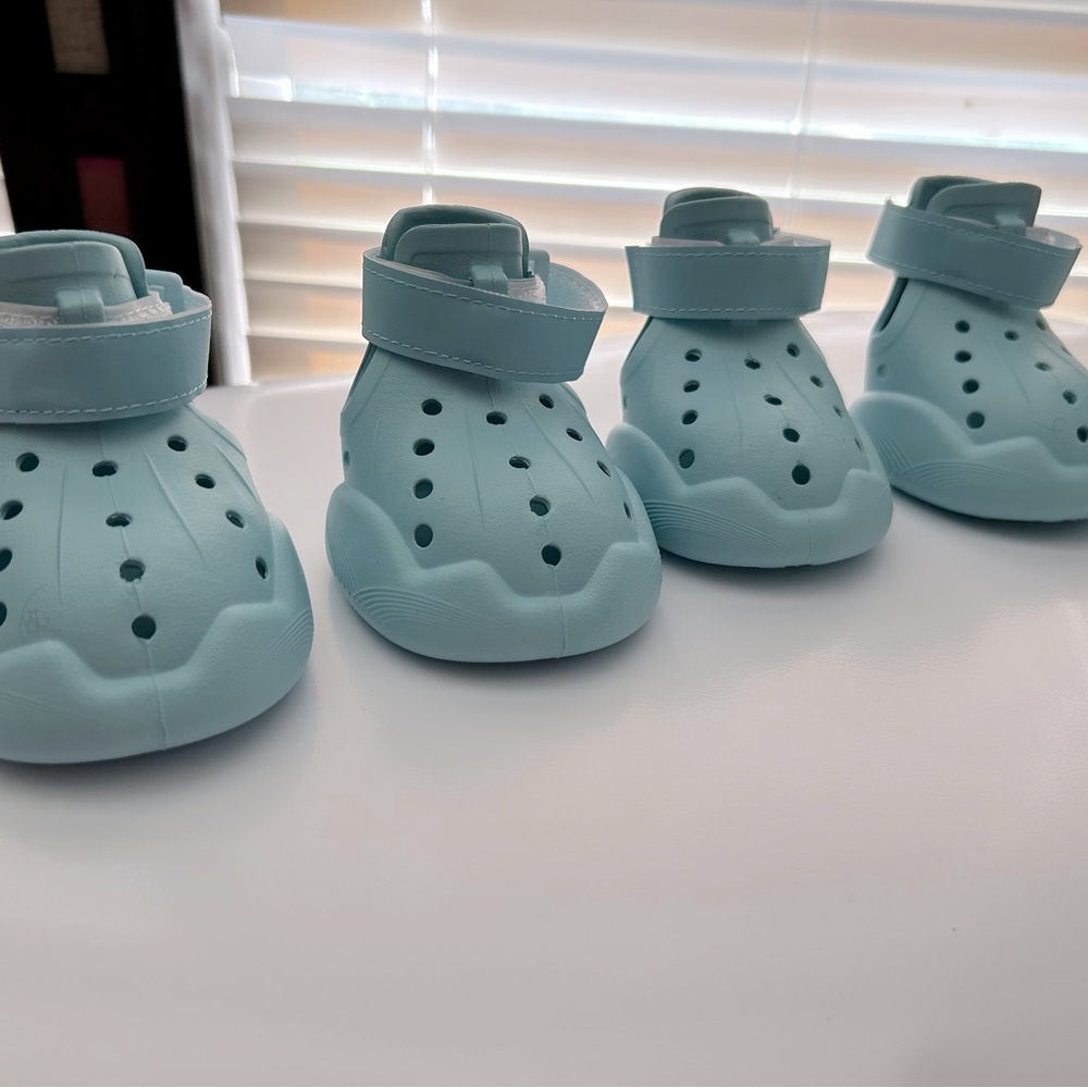 Dog Aqua Shoes